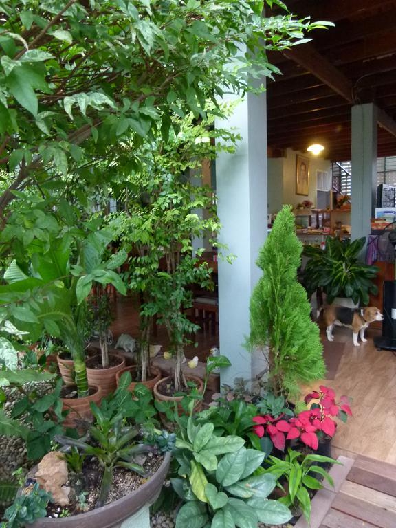 Bed and Breakfast Ban Boonchu Аюттхая Экстерьер фото